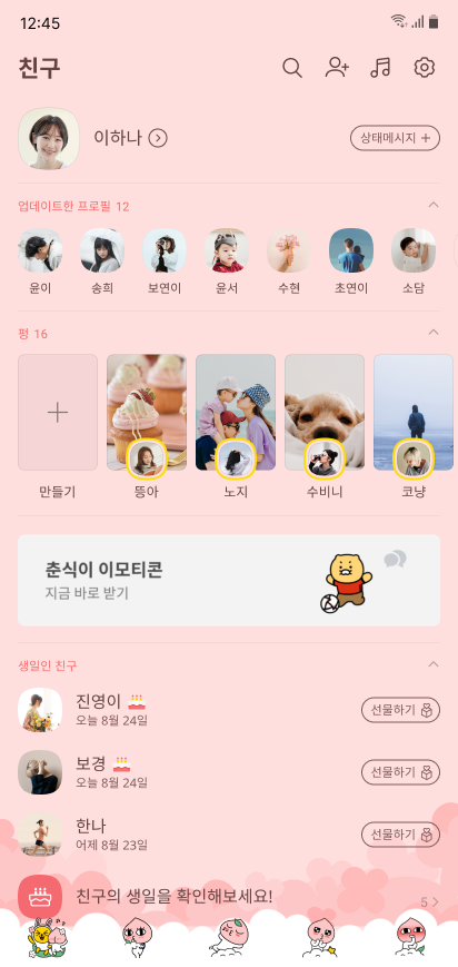 kakaotalk theme image